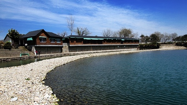 柘湖杨
