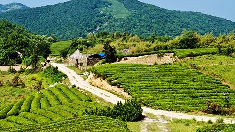 白岩山