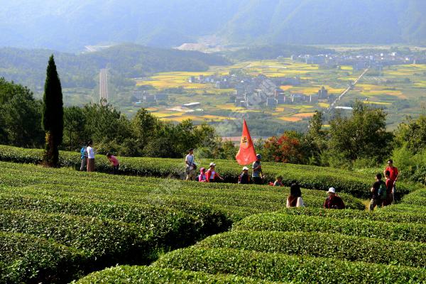 飞凤山-官地